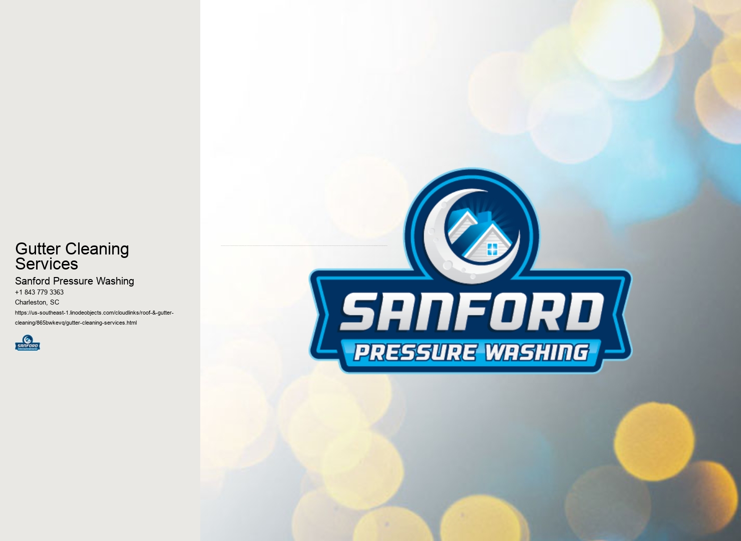 Gutter Cleaning Services