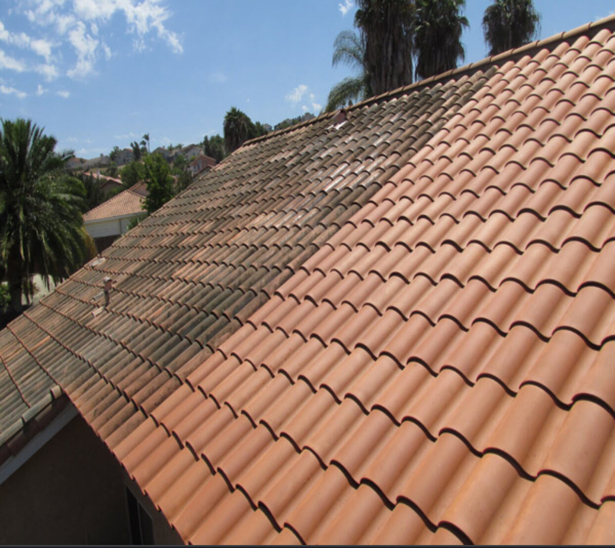 Facts About Roof Cleaning Revealed