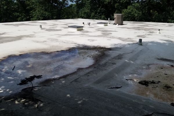 Some Known Details About Roof Cleaning 