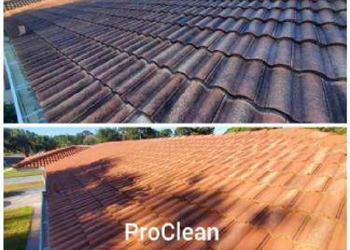 Some Ideas on Roof Cleaning You Need To Know
