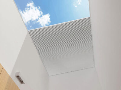 Natural Light Benefits