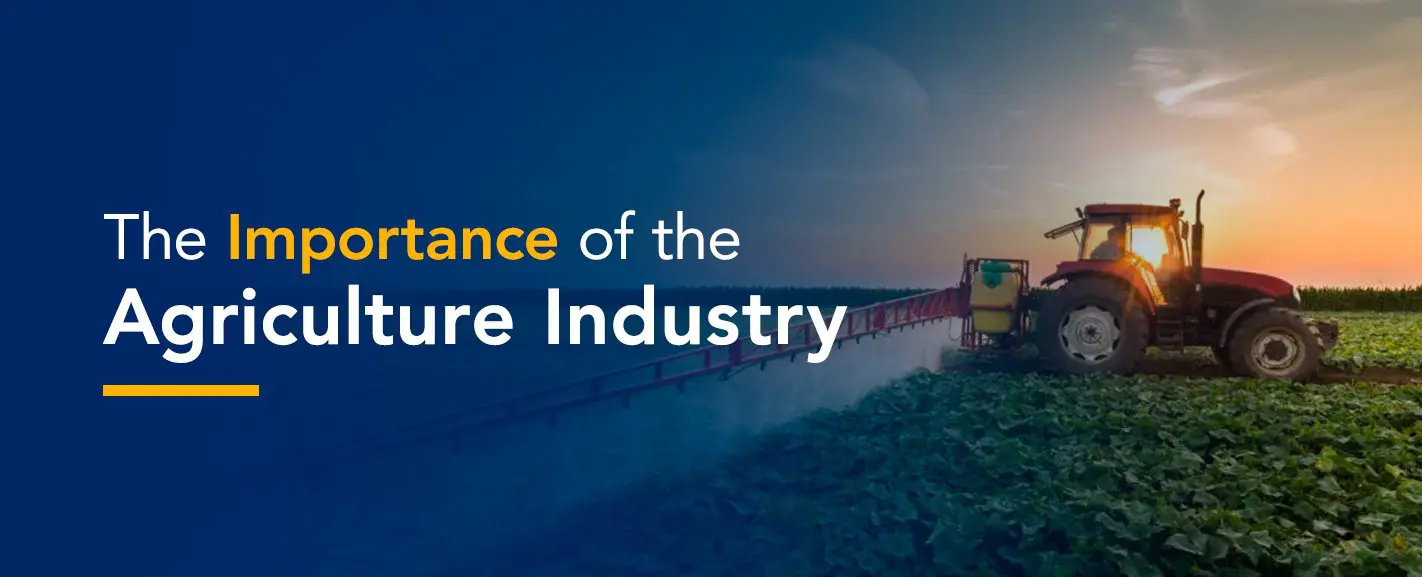 The Best Strategy To Use For Survival Blog