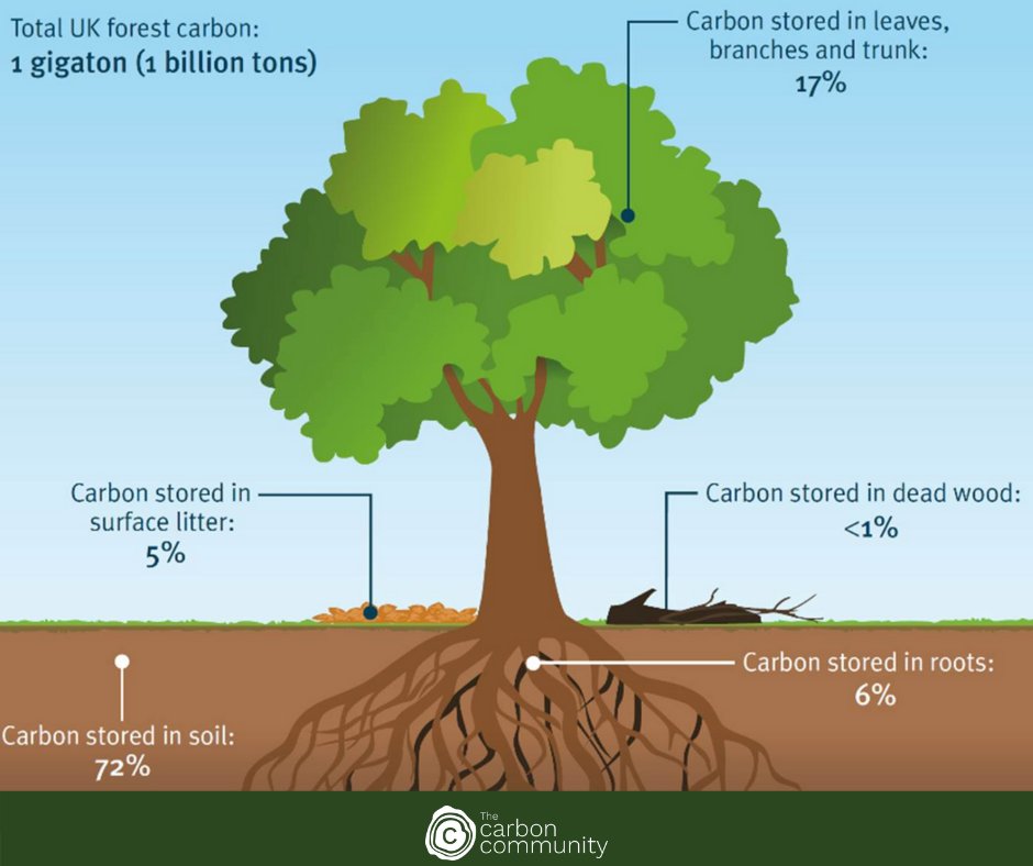 Survival Blog - An Overview