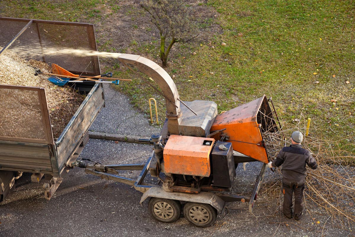 All About Tree Removal Murfreesboro Tn