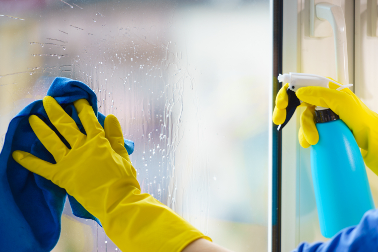 The Greatest Guide To Window Cleaning