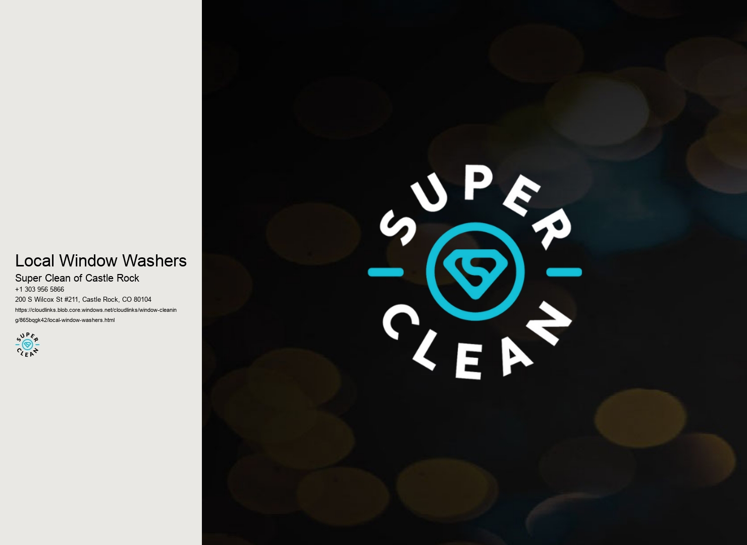 Local Window Washers