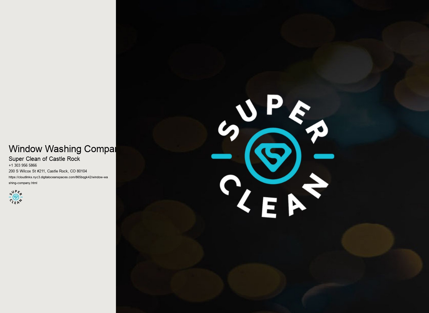 Window Washing Company