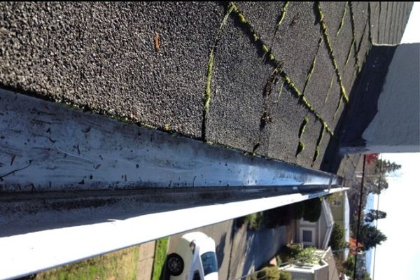 Some Known Details About Window Cleaning 