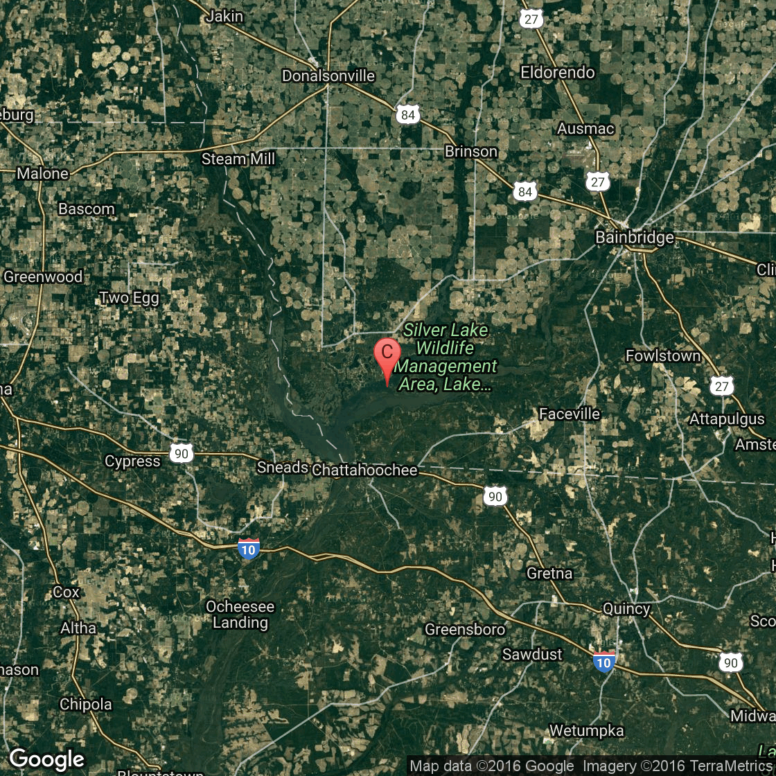 Seminole State Park Cabins in USA Today