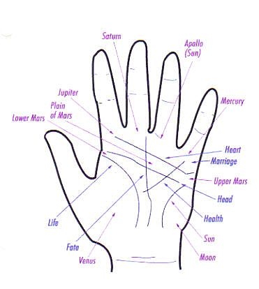 How to Read Palms by Hand Types | Synonym