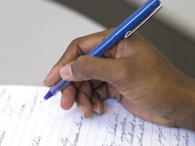 Pro animal testing essay