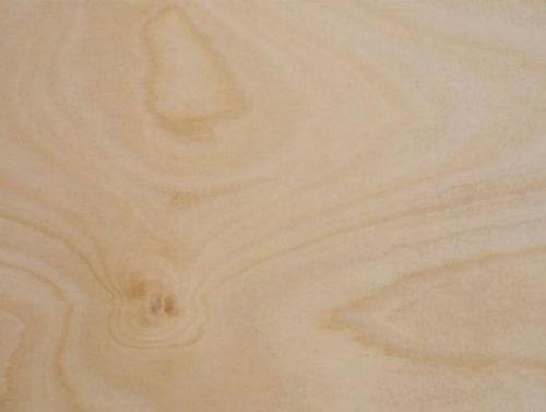 1/2 in x 4 ft x 8 ft AC Grade Plywood at Capitol Materials 1/2 in x 4 ft x 8 ft AC Grade Plywood at Capitol Materials