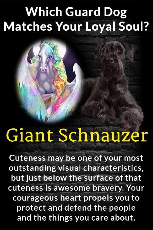 Vivian Reeves' album, Timeline photos