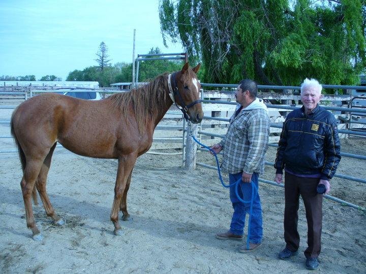 Peter Kay's album, Dad's horses