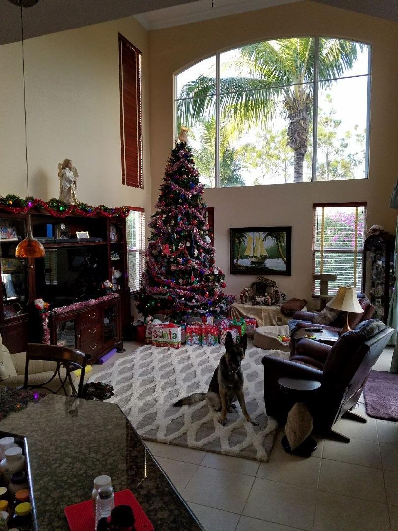 Looking forward to Xmas with the kids. Ty Jesus