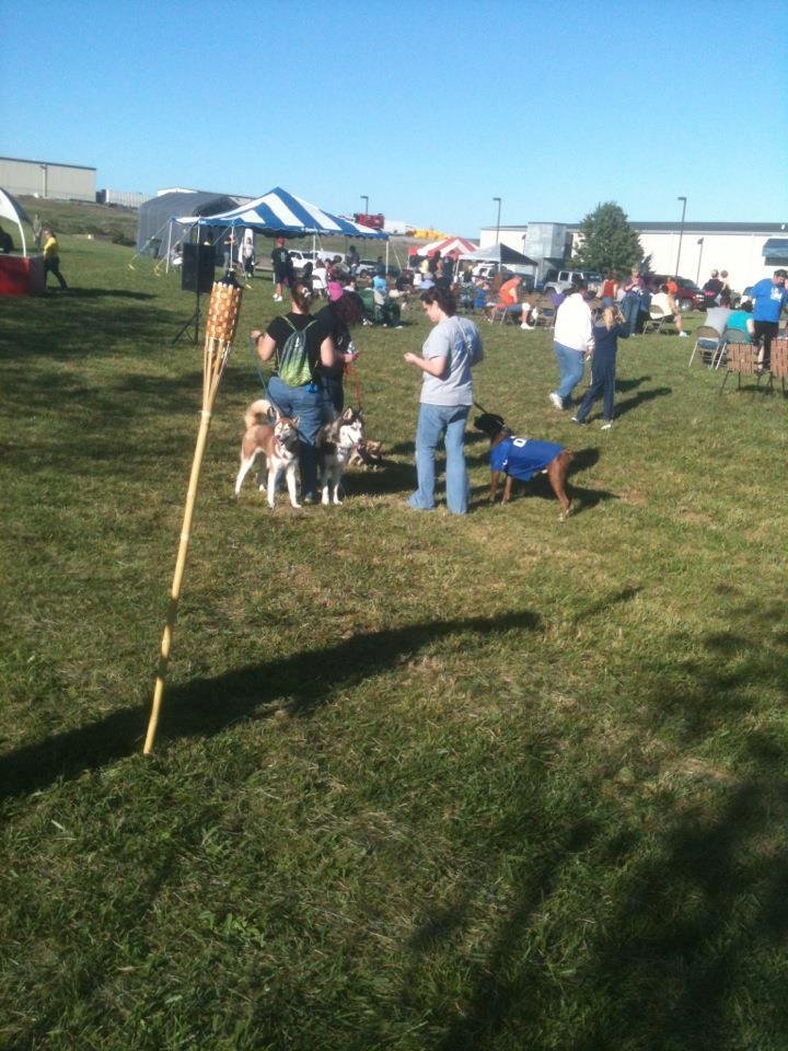 Animal Palooza