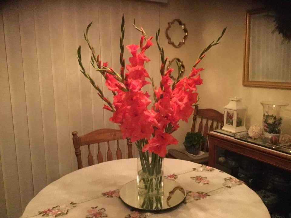 Betsy and I received these beautiful flowers today from Greg and Deb's garden. Love them.