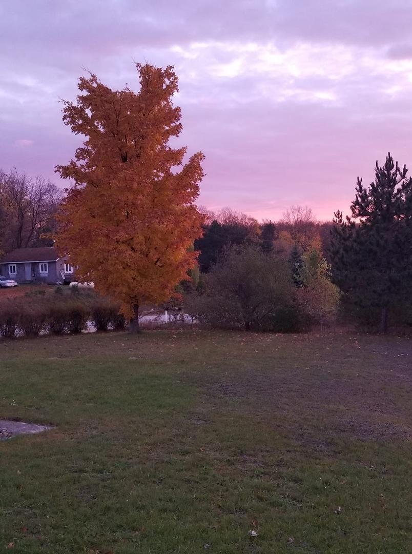 Good morning everyone!