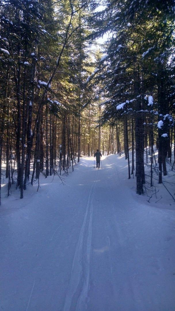 Maine huts and trail system.