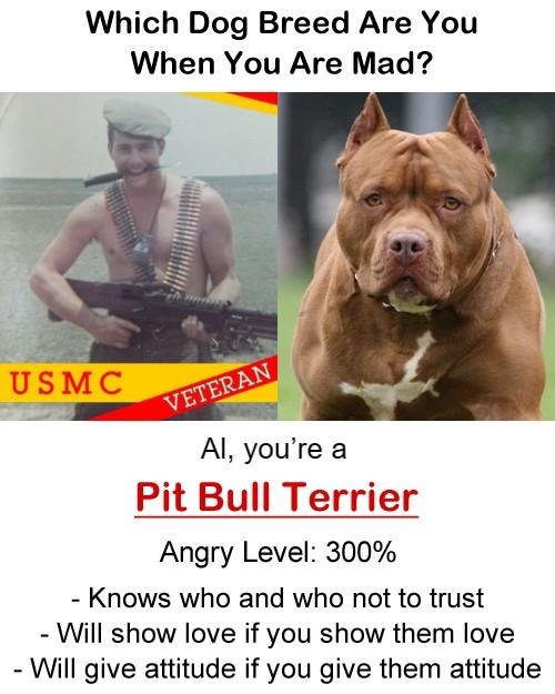 Albert Quick's album, Timeline photos