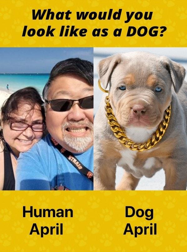 April Willson Kamada's album, Timeline photos