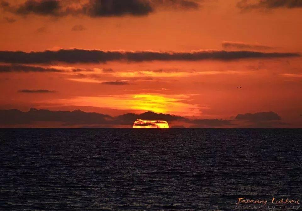 Sunset Closeup