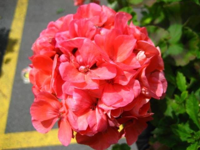 Rob Roy's album, Timeline Photos
