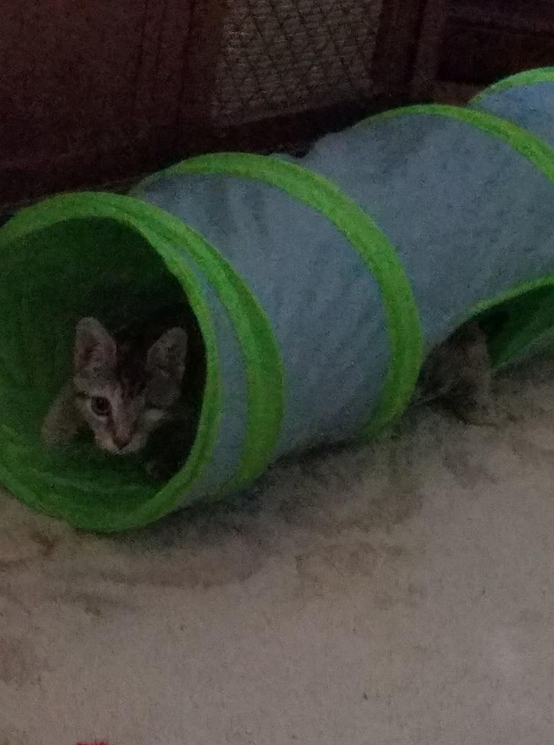 Her favourite toy.