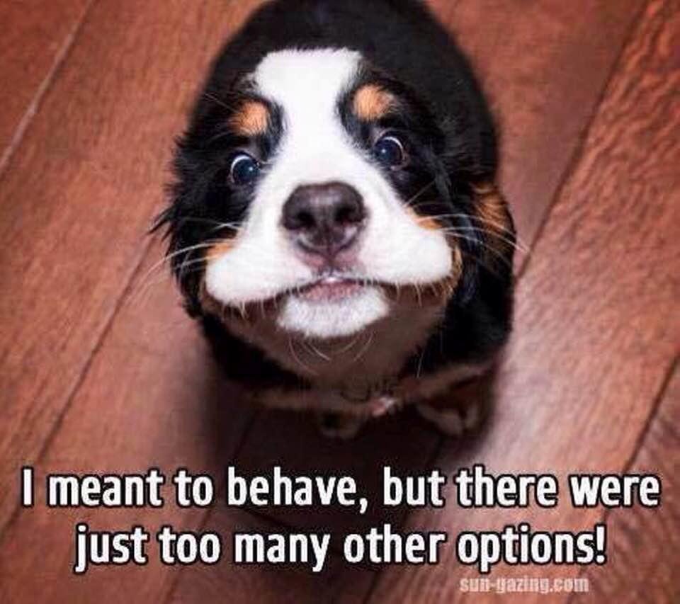 Steve Thomas' album, Timeline Photos