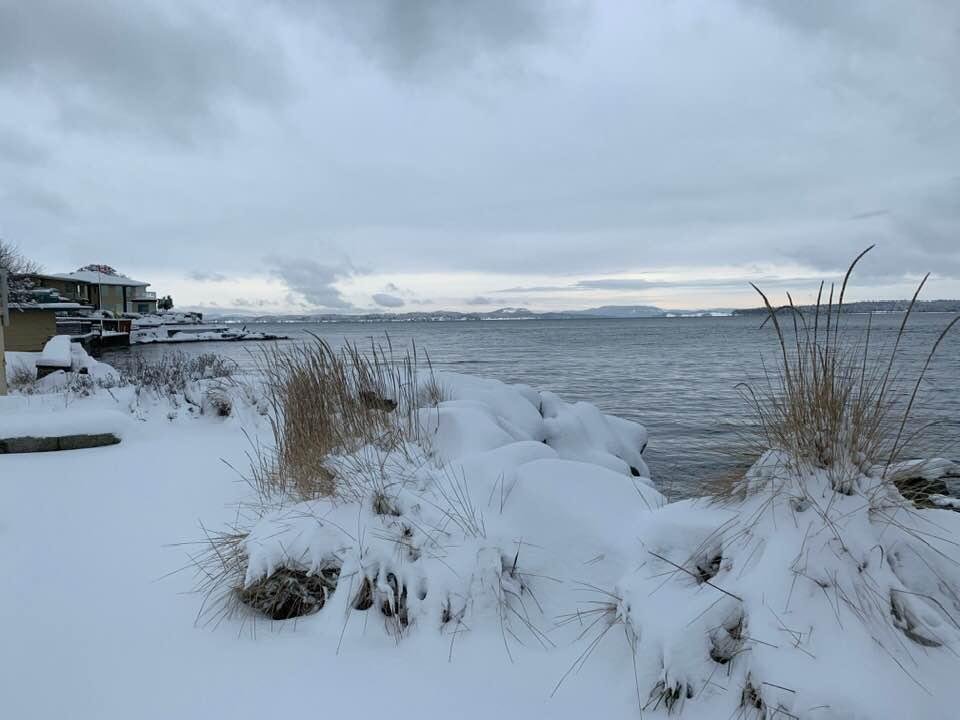 Beautiful morning walk in the snow today! #Sidney #SnowDay