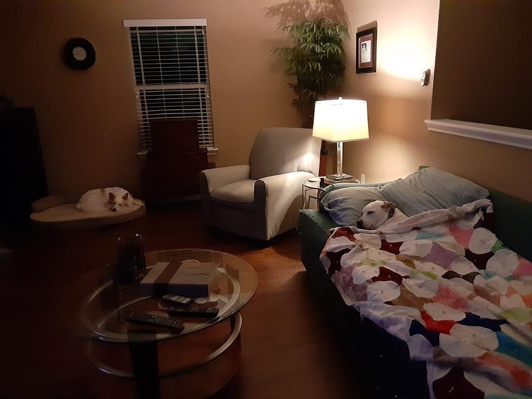 I have been booted out of my comfy spot.