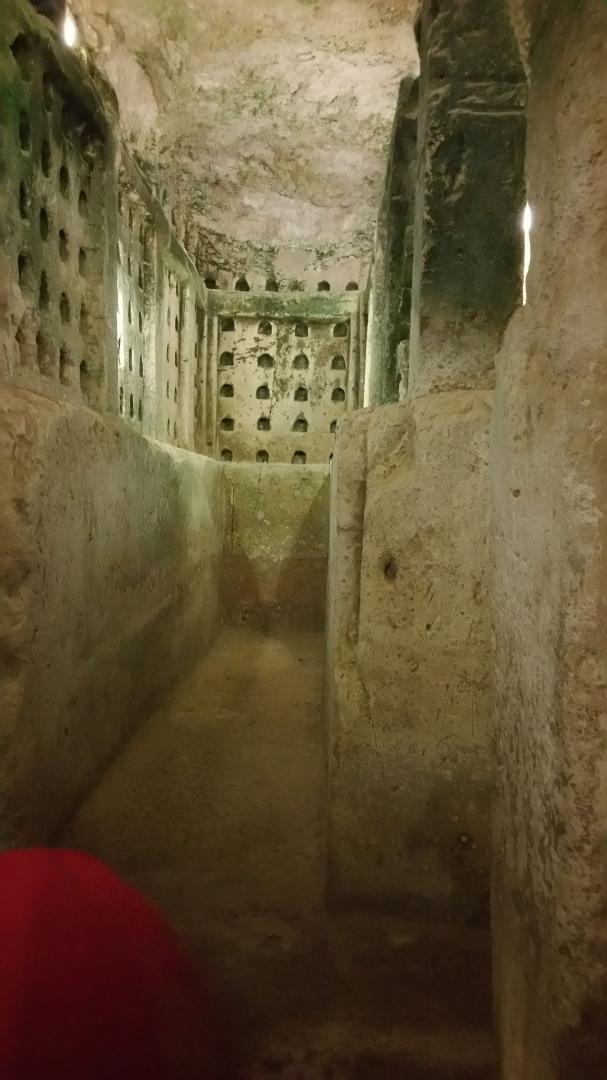 Niches where sacrificial doves and pigeons were raised