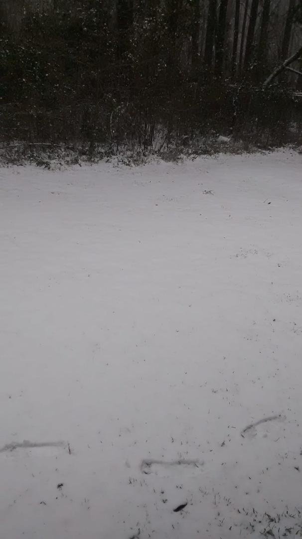 Side yard