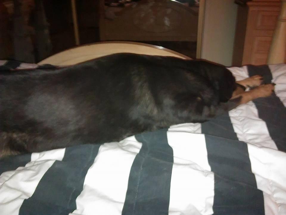 Oso says its my bed all mine.