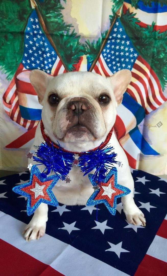 Spud and our house wishing all a great week and have a safe 4th of July