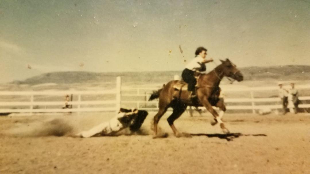 Cowhide race in outdoor arena at Wenatchee