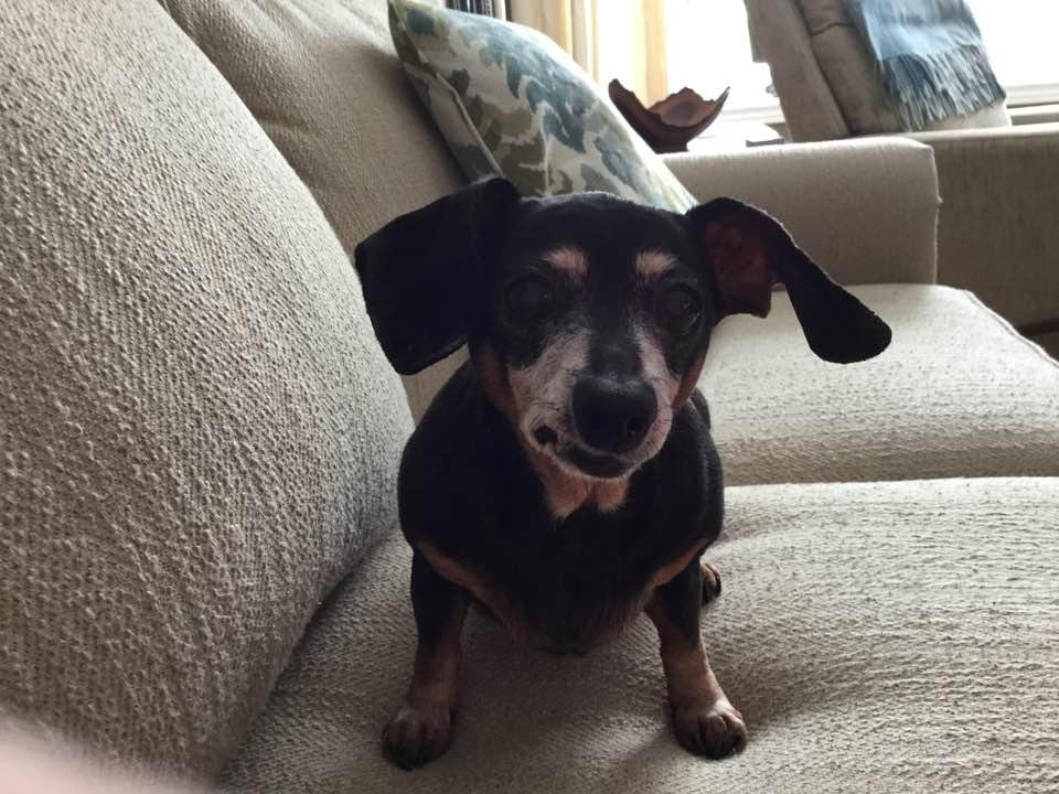 Nicky Ranney my little girl ❤️