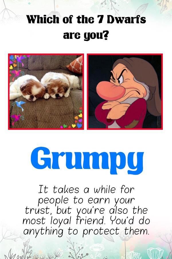 Peter Genna's album, Timeline Photos