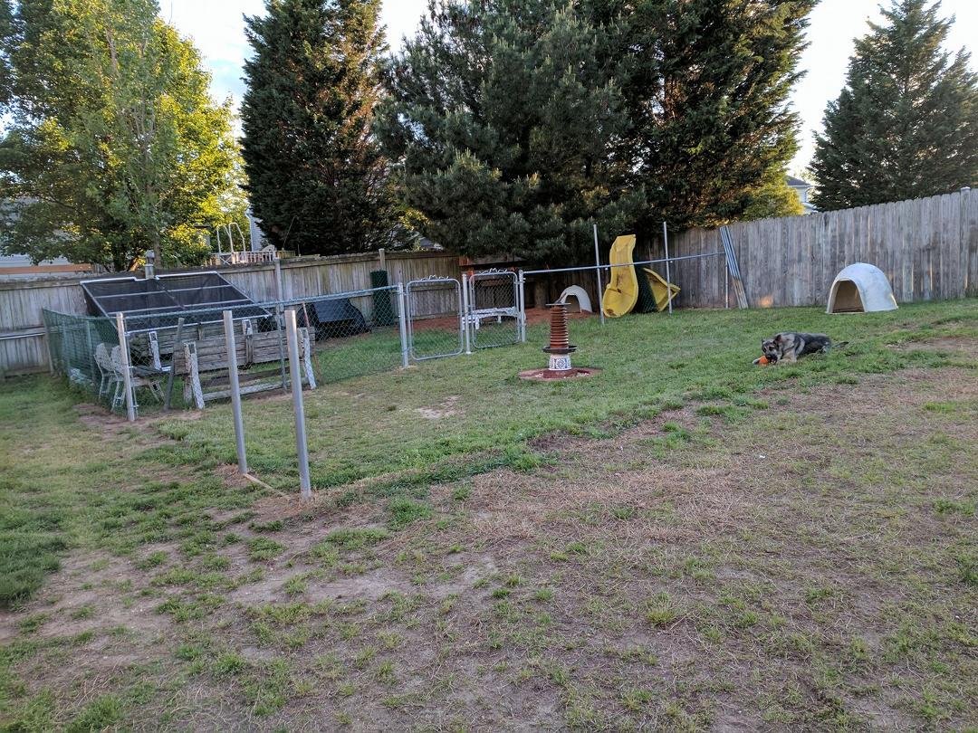 Old fence down, new one almost done.