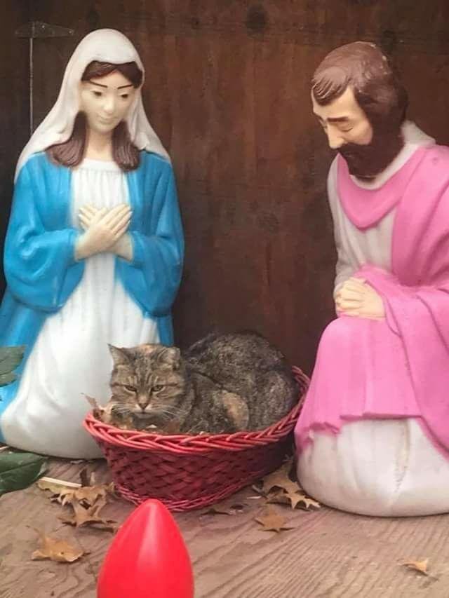 Beverly Witherow's album, Timeline Photos