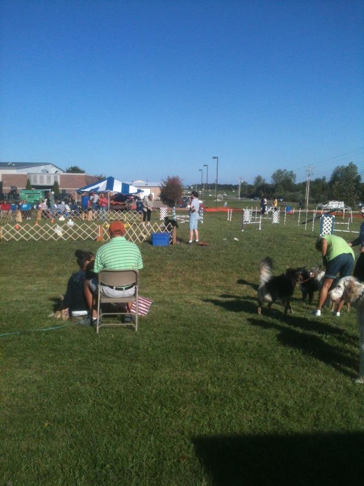 Animal Palooza