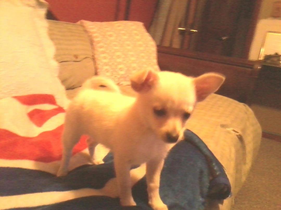 Here's my baby Lily