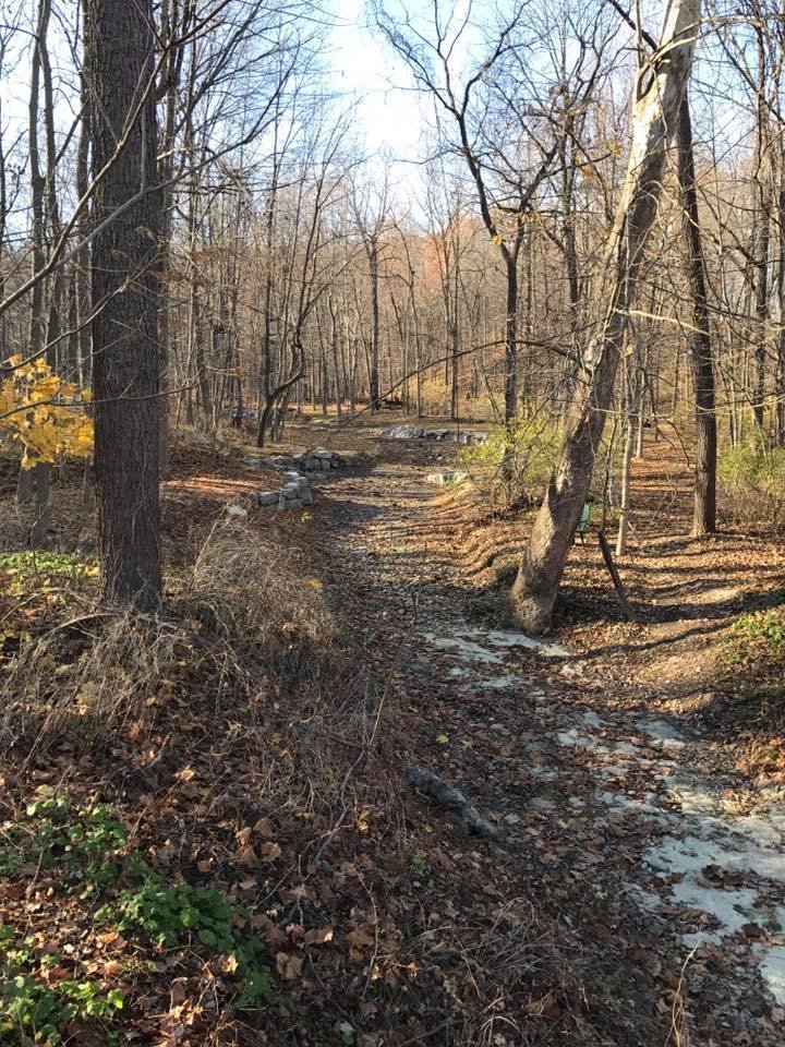 bev flood's album, Mobile Uploads