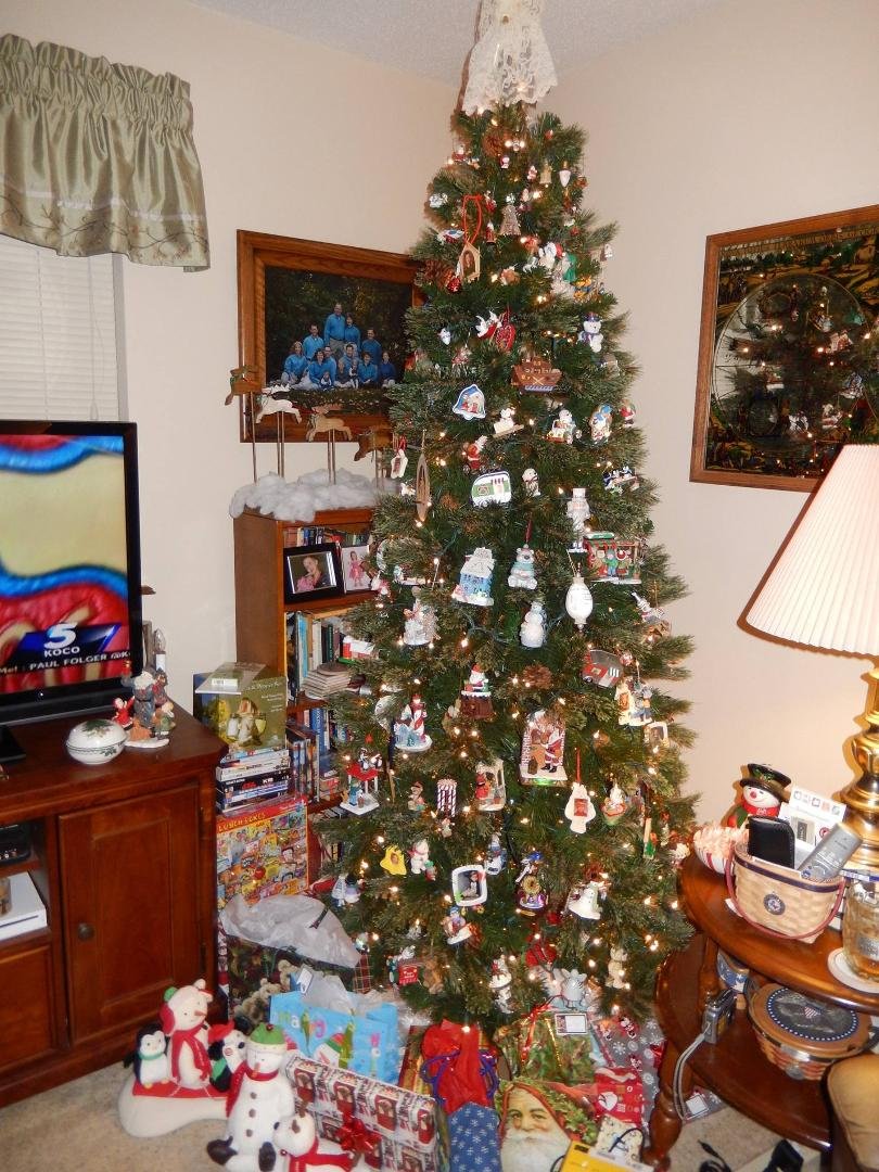 Mike and JoAnnes'