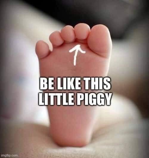 Dina Stiebel's album, Timeline Photos