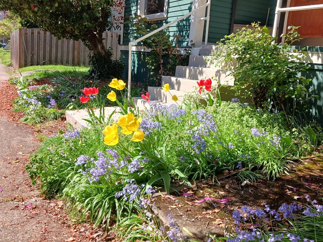 Laurence Margolis' album, Timeline photos