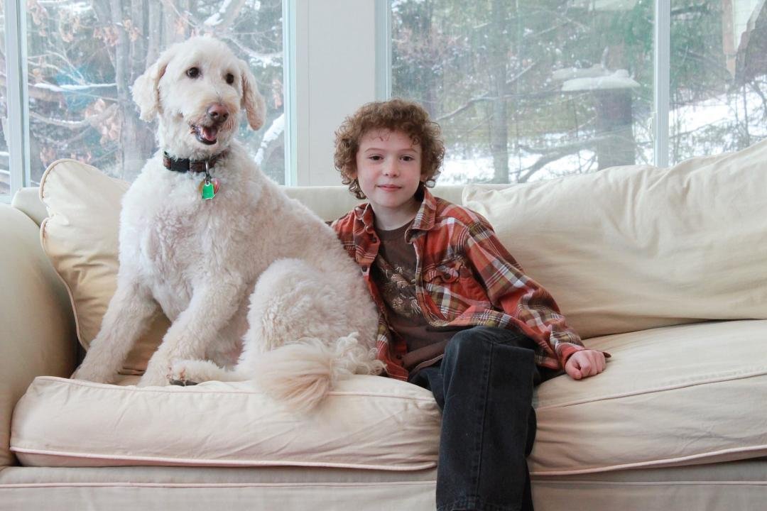 Our beautiful Goldendoodle Lily who passed a few years ago and our handsome #1 grandson Max