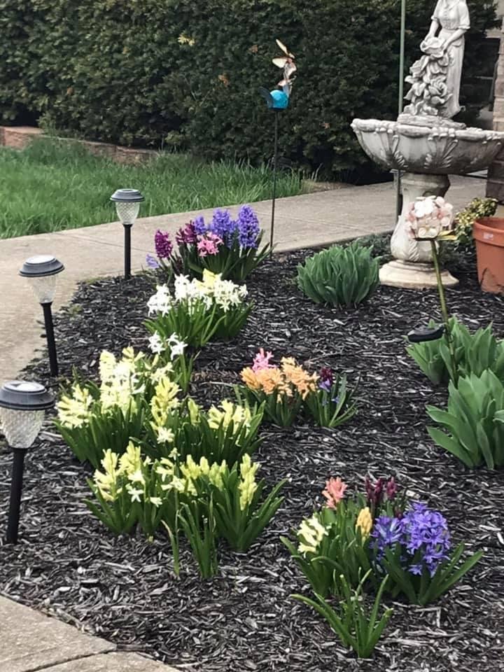 They smell so good!!