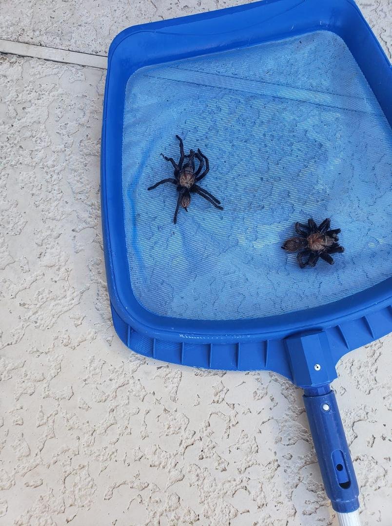Two of my best friends dropped by for coffee this morning!