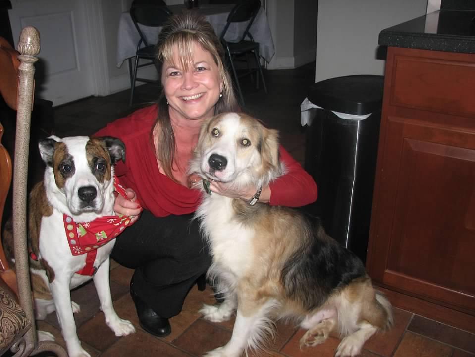 Jason Ferrell Look what I found! Your beautiful, precious furbabies! Sheba & Doobie & of course your beautiful mom too! <3